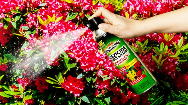 2 Count Triazicide Insect Killer