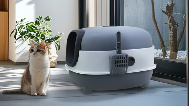 A Cat Next to Tucker Murphy Pet Cat Litter Box Enclosed with Scoop A Cat Next to Tucker Murphy Pet Cat Litter Box Enclosed with Scoop