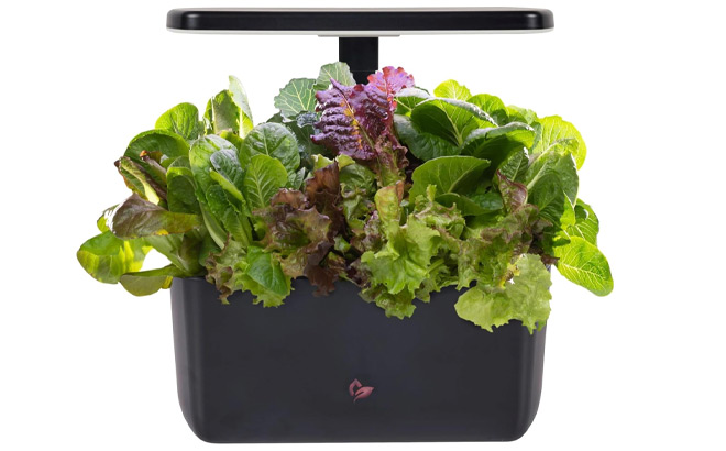AeroGarden Indoor Garden Kit AeroGarden Indoor Garden Kit