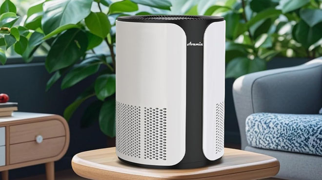 Avamia Air Purifier Avamia Air Purifier