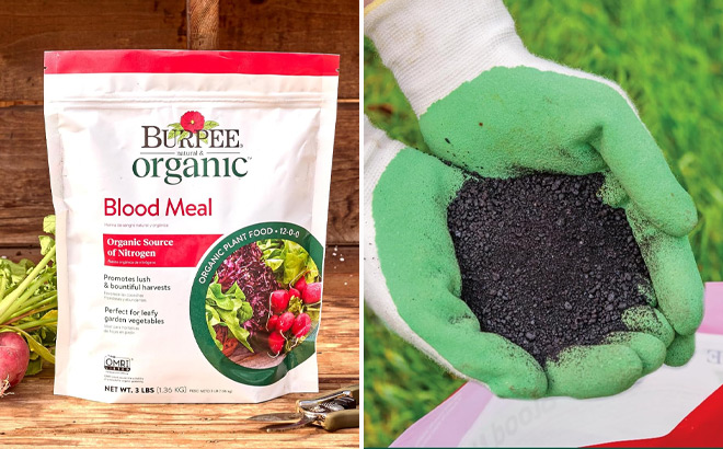 Burpee Organic Fertilizer