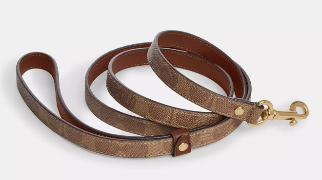 Coach Outlet Boxed Small Pet Leash In Signature Canvas