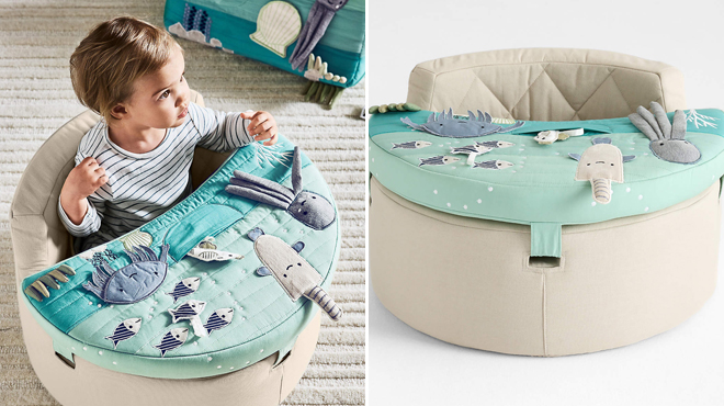 Crate Kids Aquatic Baby Activity Chair Crate Kids Aquatic Baby Activity Chair