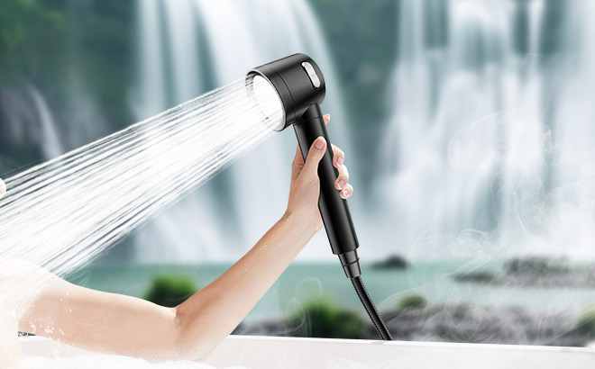 Filtered Shower Head with Handheld