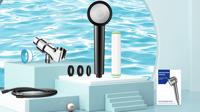 Fitespot Filtered Shower Head with Handheld