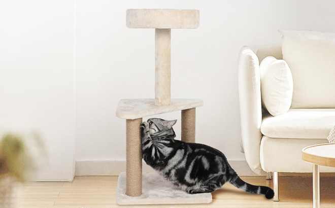 FluffyDream 31 8 Inch Cat Tree FluffyDream 31 8 Inch Cat Tree