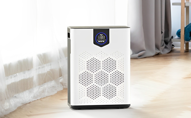 Large Room Air Purifier