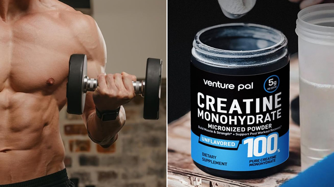 Micronized Creatine Monohydrate Powder