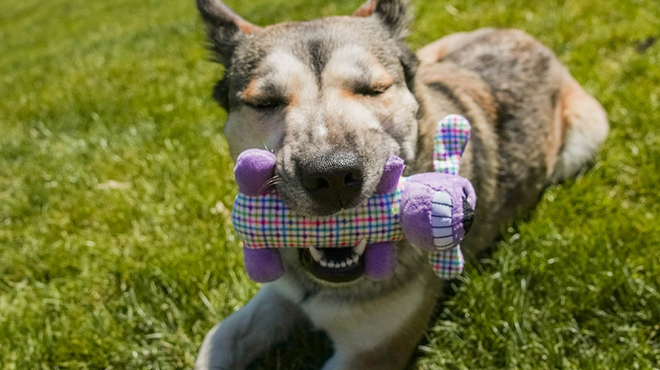 Multipet Smiling Loofa Plush Dog Toy