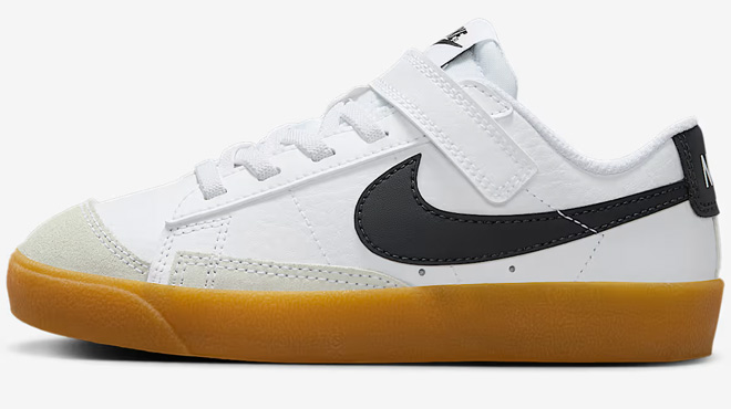 Nike Blazer Low 77 Little Kids Shoes