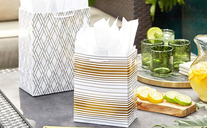 Paper Gift Bags 6 Pack