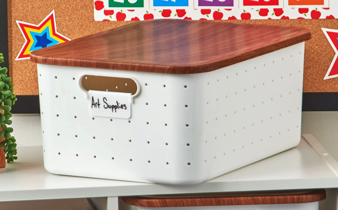 PenGear Plastic Storage Box with Lid
