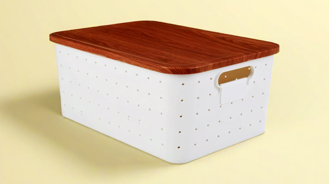 PenGear Plastic Storage Box