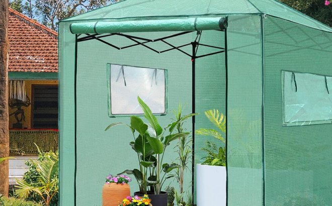 PexFix 8 x 8 Feet Portable Walk In Greenhouse in a Garden PexFix 8 x 8 Feet Portable Walk In Greenhouse in a Garden