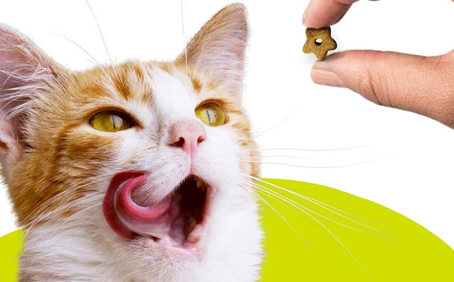 Purina Friskies 20 Ounce Cat Treats