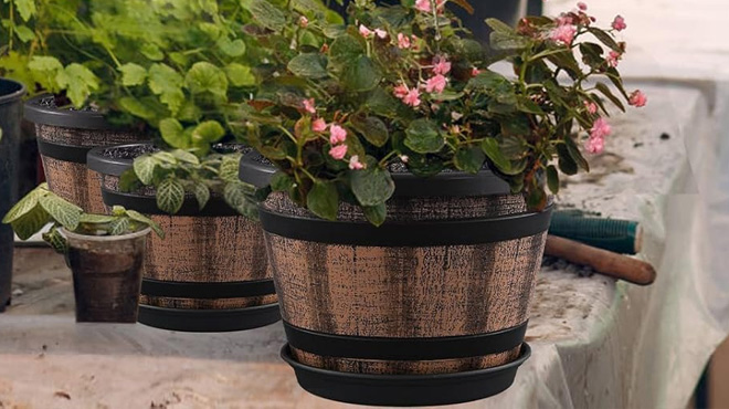Quarut Whiskey Barrel Planters with Drainage Quarut Whiskey Barrel Planters with Drainage
