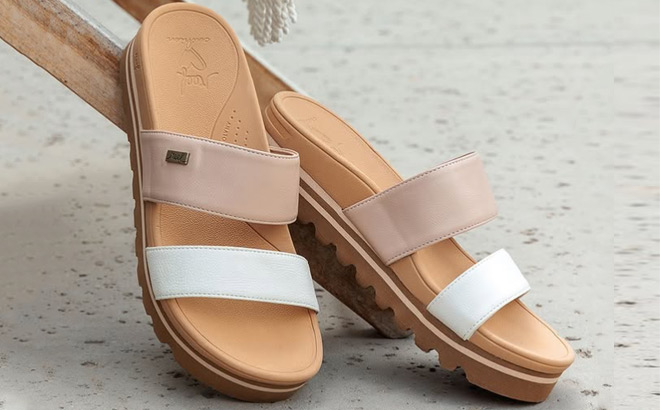Reef Banded Horizon Slide Sandals