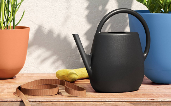 Room Essentials 1 Gallon Plastic Watering Can