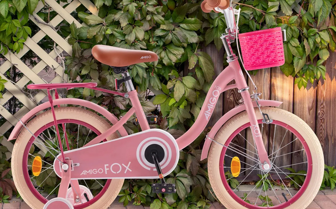 RoyalBaby Toddlers Amigo Fox Bike with Basket and Training Wheels
