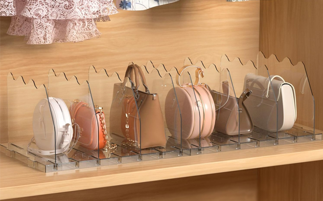 SOYO Adjustable Clear Purse Organizers for Closet