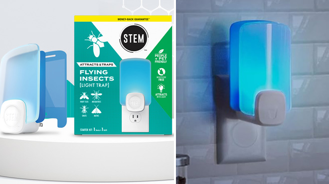 STEM Flying Insects Light Trap Kit STEM Flying Insects Light Trap Kit