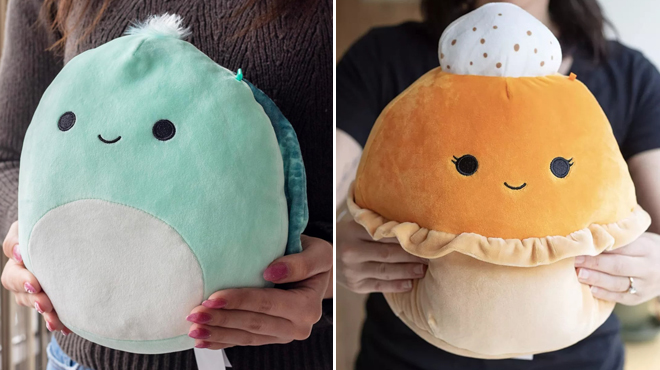Squishmallows 8 Inch Onica The Turtle and 10 Inch Torize the Pumpkin Pie Plush