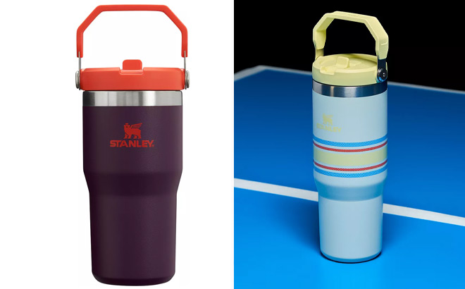Stanley 20 Oz IceFlow Flip Straw Tumbler