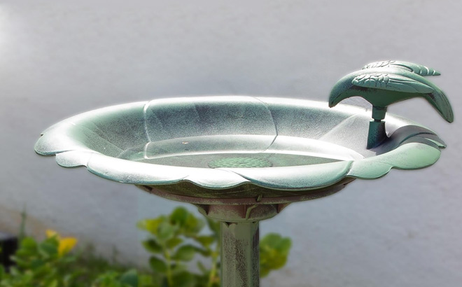 Tall Outdoor Birdbath