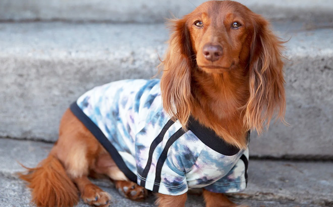 Tie Dye Athletic Dog T Shirt