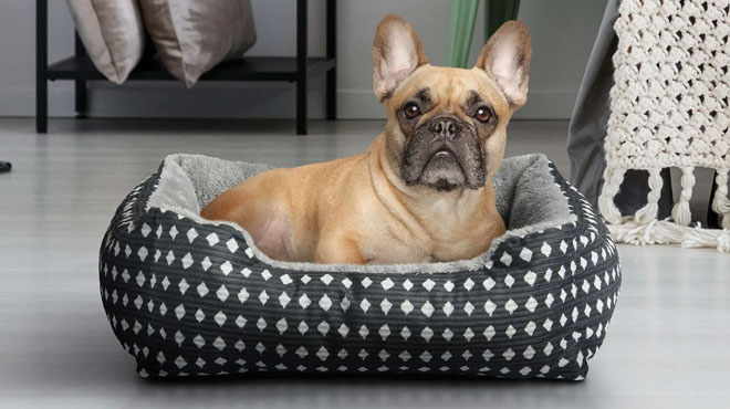 Vibrant Life Cuddler Small Dog or Cat Bed Vibrant Life Cuddler Small Dog or Cat Bed