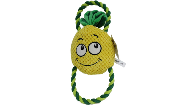 Vibrant Life Pineapple Pet Rope Toy