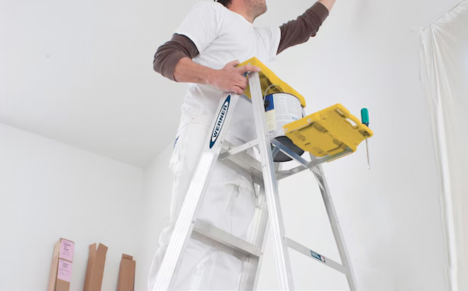 Werner 360 6 ft 10 ft Reach Height Aluminum Type 1 250 lbs Load Capacity Step ladder