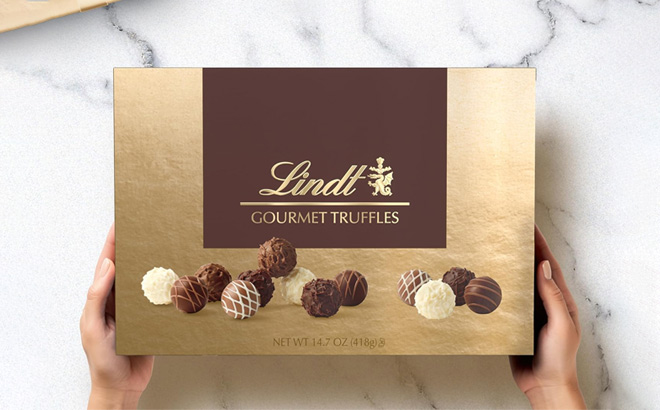 A Person Holding Lindt Gourmet Chocolate Truffles Gift Box