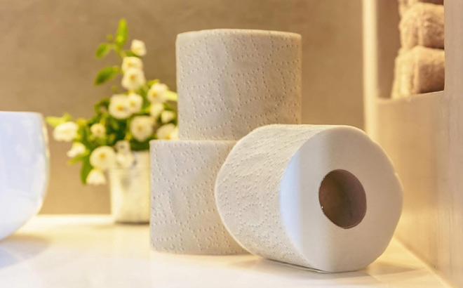 Amazon Basics Soft Strong 2 Ply Toilet Paper