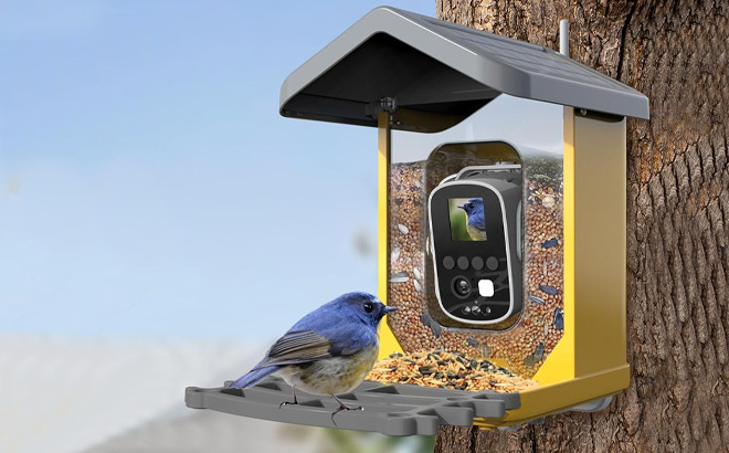 Bird Feeder with Camera