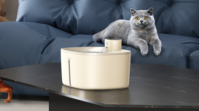 Cat Water Fountain Cat Water Fountain