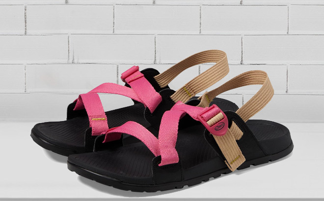 Chaco Womens Lowdown Sandals