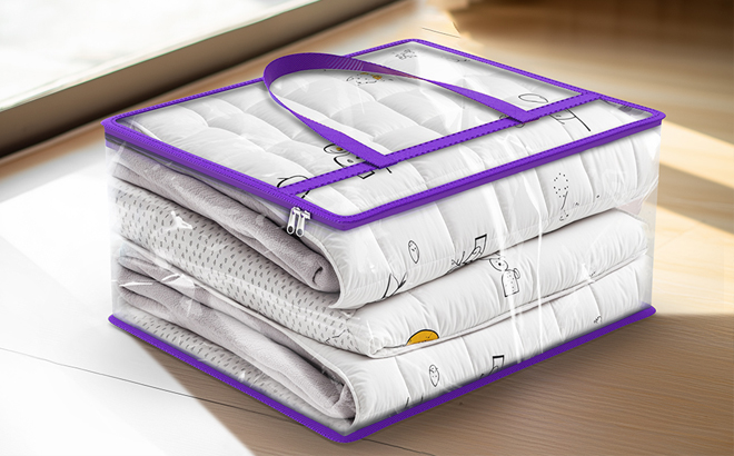 Clear Storage Bags 6 Pack