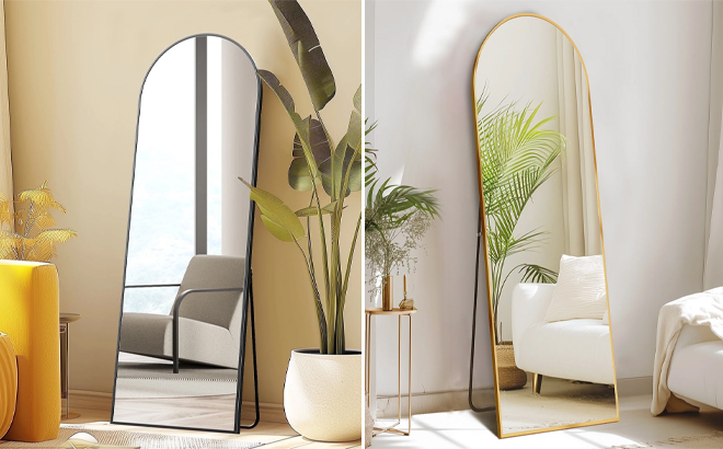 Concetta Arched Full Length Mirror in Two Colors