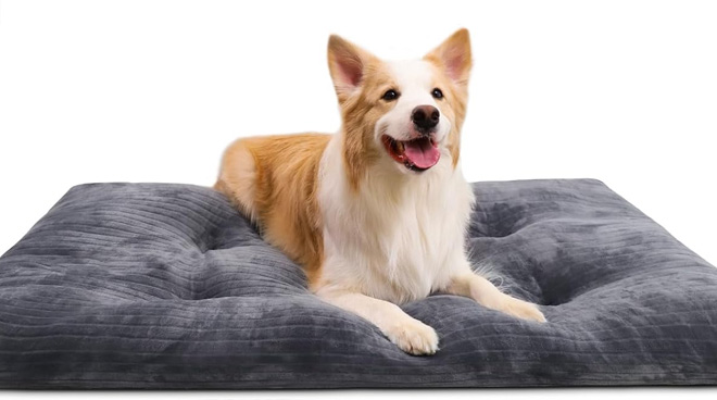 Dog Crate Washable Bed