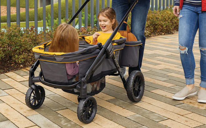 Evnflo All Terrain Stroller