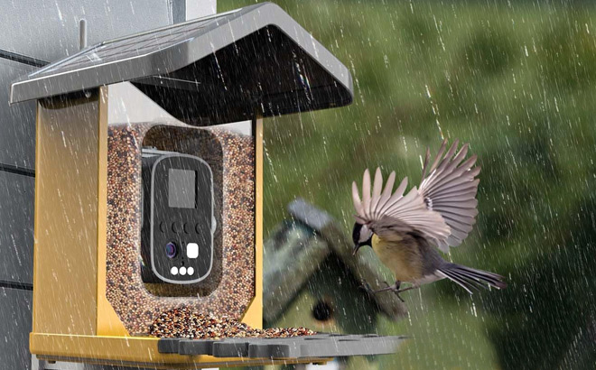 FlowaFoli Solar Powered Bird Feeder with Camera