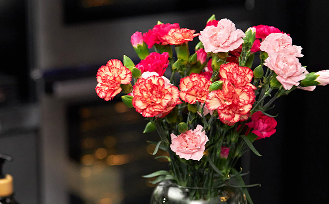 Fresh Cut Mini Carnations Flower Bunch