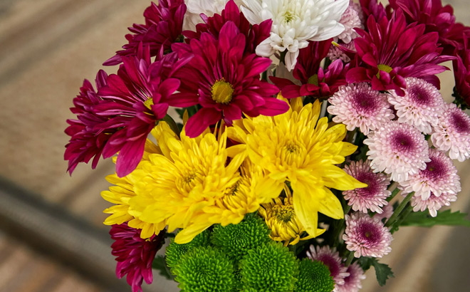 Fresh Cut Small Rainbow Poms Flower Bunch 7 stems
