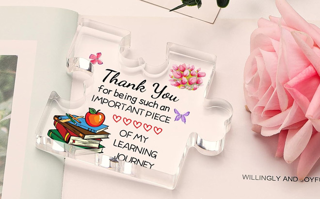 Funnli Teacher Gift Funnli Teacher Gift