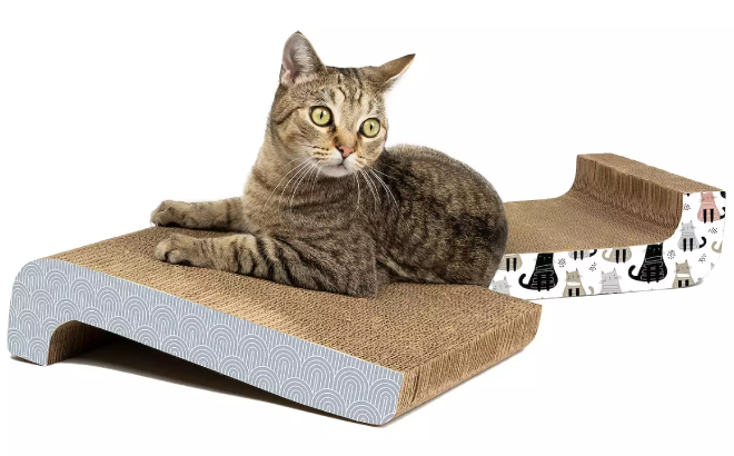 Kitty City 2 Pack Multi Colored Scratcher