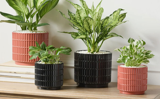 Mainstays Round Ceramic Grid Planters Mainstays Round Ceramic Grid Planters