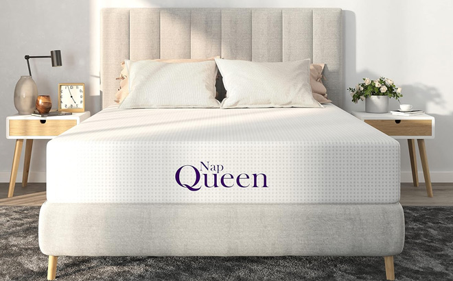 NapQueen Queen Mattress 6 Inch