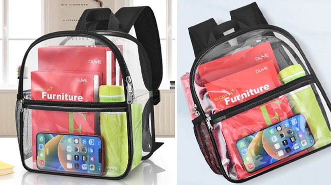 Paxiland Clear Backpack in Black
