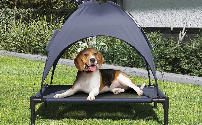 Petmaker Elevated Pet Bed Petmaker Elevated Pet Bed